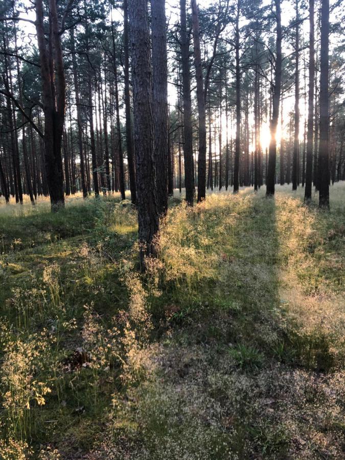 Appartamento Juros Brizas Palanga Esterno foto