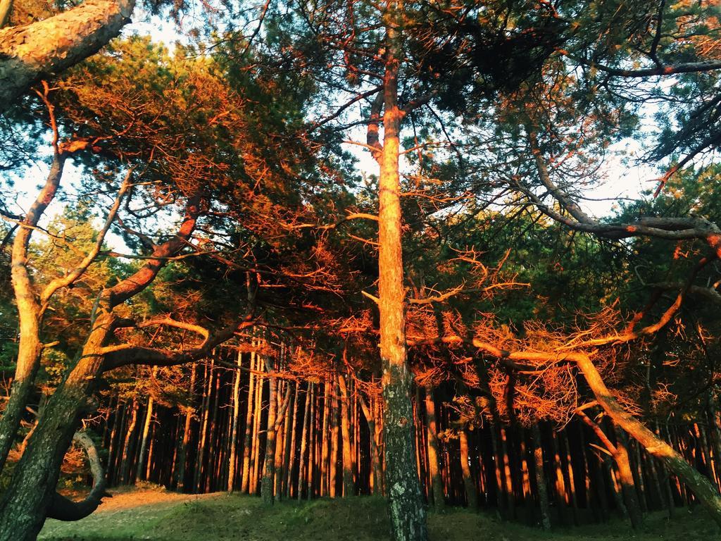 Appartamento Juros Brizas Palanga Esterno foto