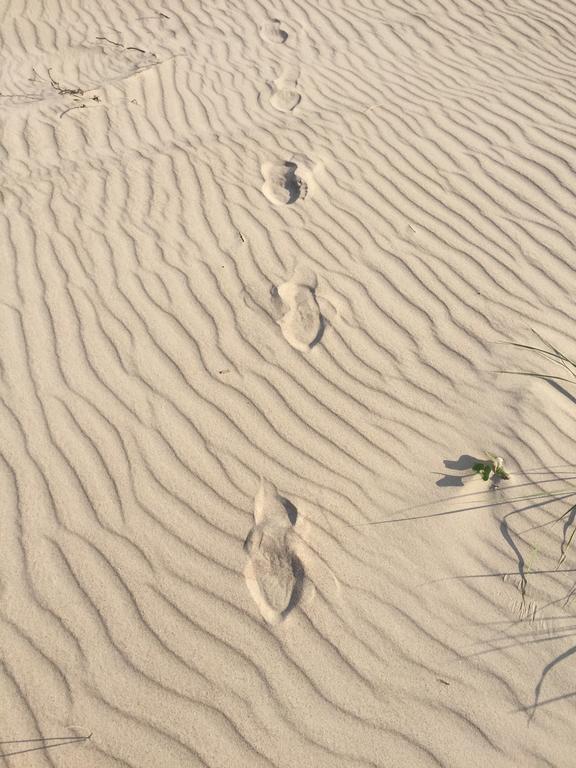 Appartamento Juros Brizas Palanga Esterno foto